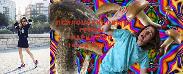 дмт Белокуриха