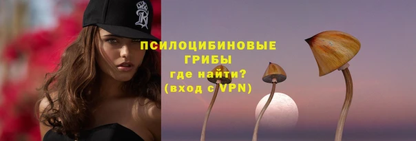 дмт Белокуриха