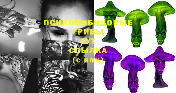 СК Беломорск