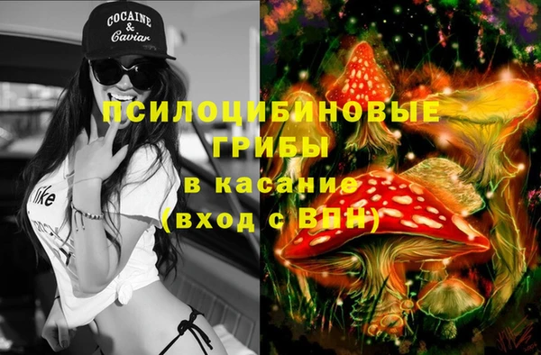 СК Беломорск